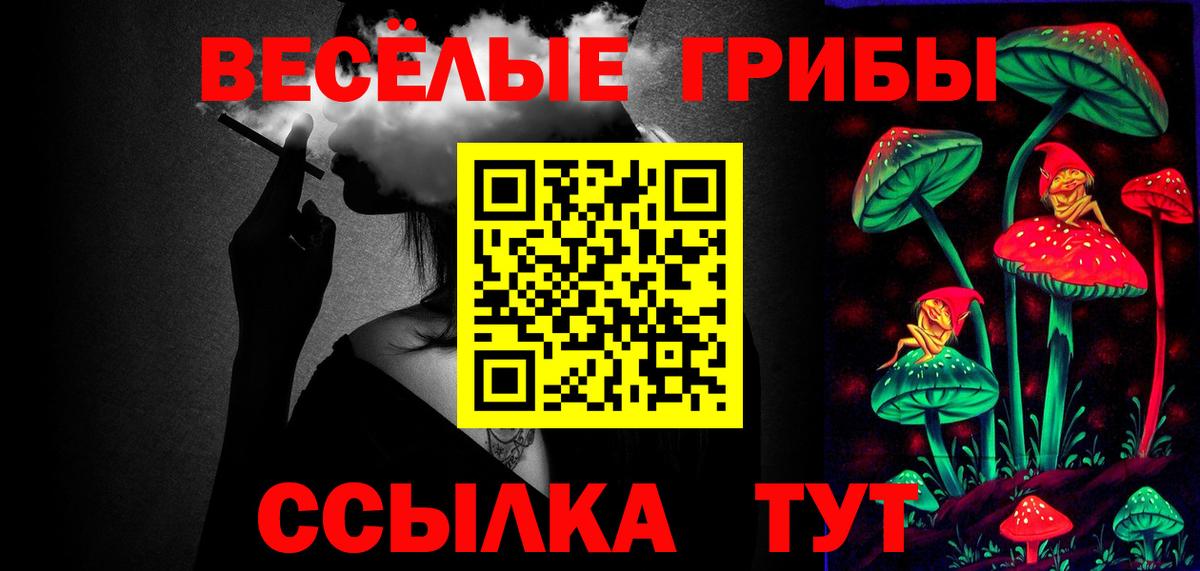 Ростов-на-Дону  Псилоцибиновые грибы Cubensis  Вход с VPN 